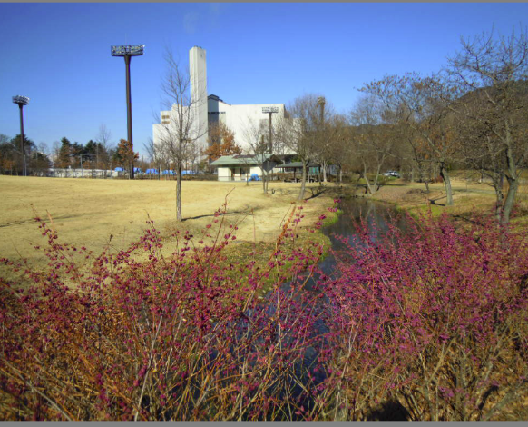 平瀬緑地 2010-12-17