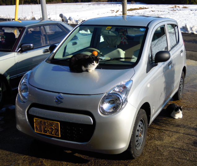 新春の喜びを申し上げます 2011-01-02