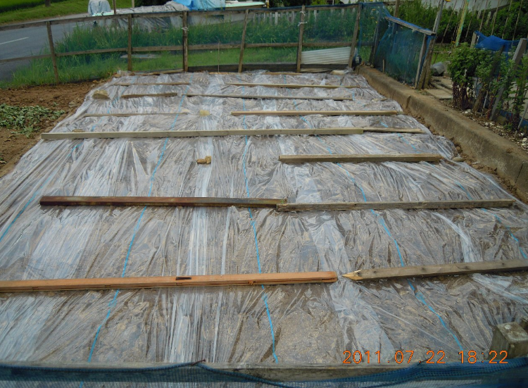 ７月２２日　家庭菜園がねこの砂場にされたので。2011-07-22