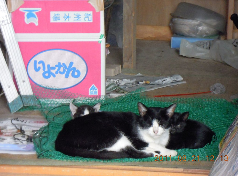 南無・・・・2011-11-13