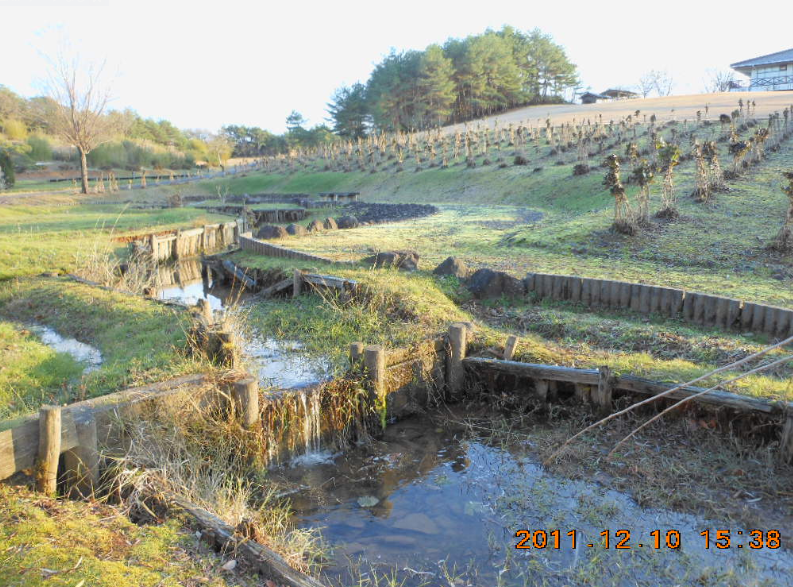 初雪の降った日に柳田村（現能登町）にある 植物公園に行ってみました 2011-12-10