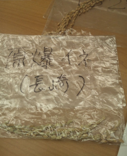 東京研修旅行記録２０１２年有機農業入門講座