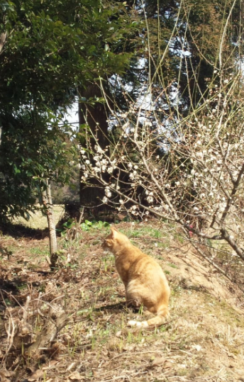 もぐらの子 2012-03-29
