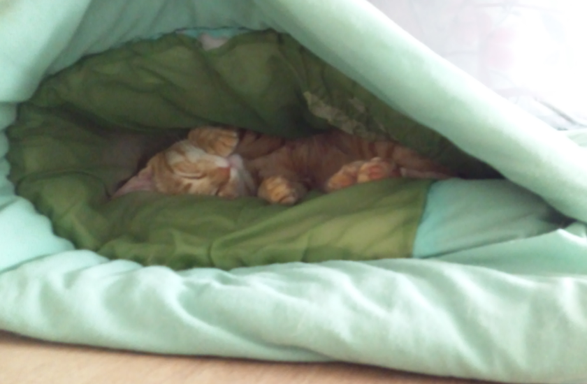 暖かくなったら 2012-03-26