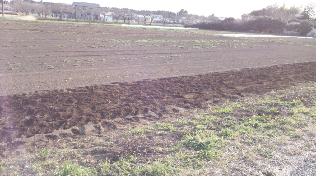 1日目人参の播種(はしゅ)とじゃがいもの植えつけ 2012-04-02
