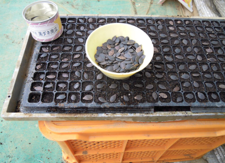 午前は種まき 2012-04-09