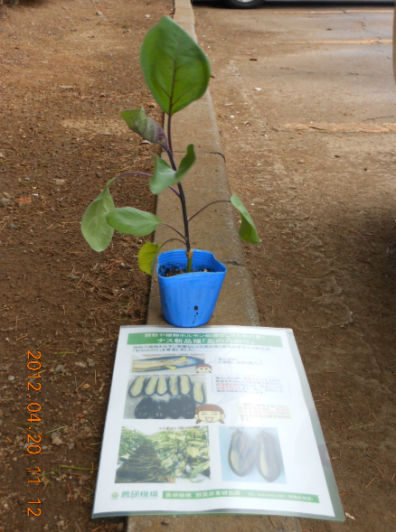 食と農の科学館 2012-04-20