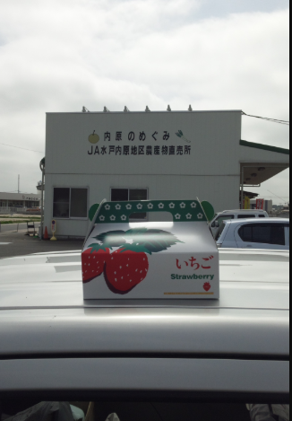 日本農業実践学園での1か月間の有機農業研修を終えて 2012-04-28