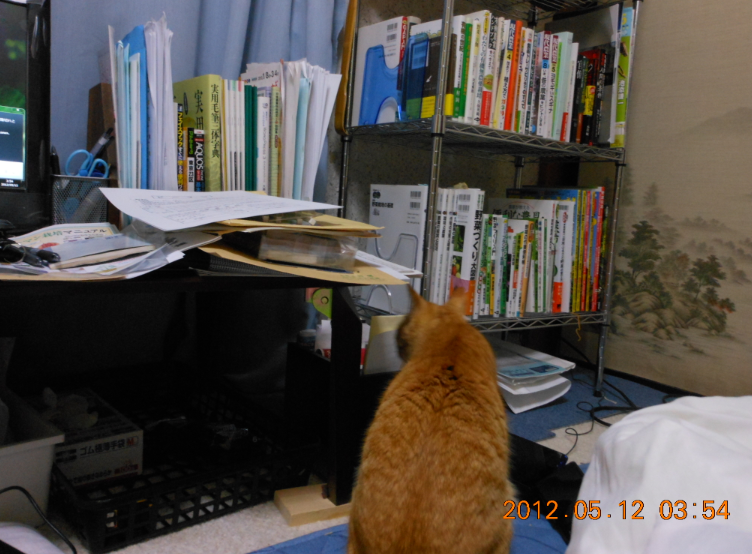 めざましニャンコ 2012-05-14