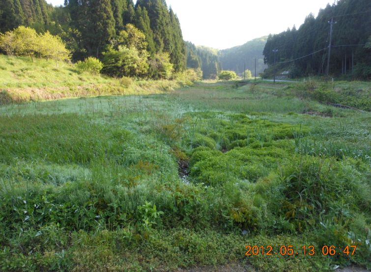 農地を借りる途中経過 2012-05-14