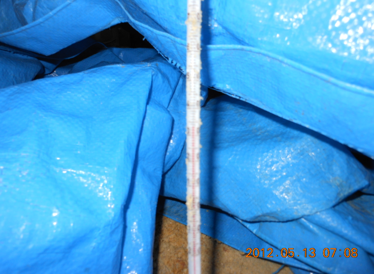 米ぬかに水とはんぺんだけのぼかし肥料作りは 2011-05-15