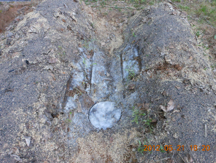 失敗の考察（自生えピーマン） 2012-05-23