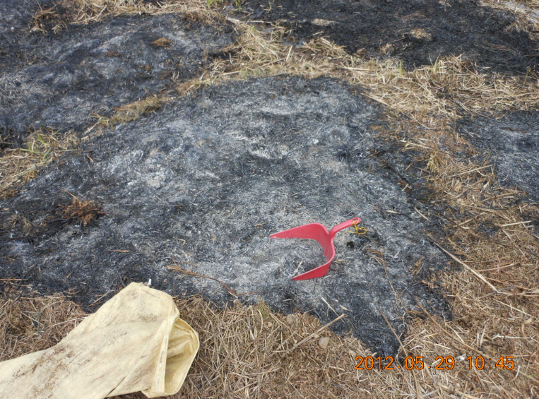 草木灰を混ぜすぎて失敗 2012-06-01