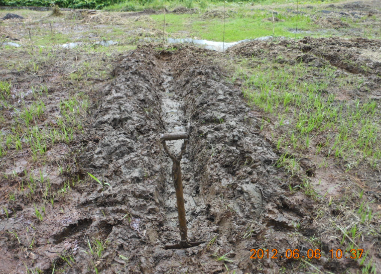 溝切りと排水溝の整備 2012-06-06