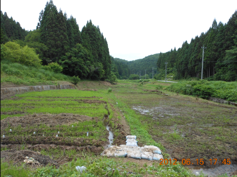 土のう積みと草刈り 2012-06-15