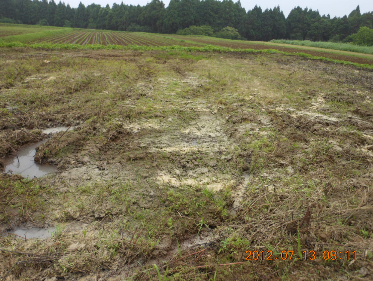 穴水３号ほ場で米ぬか散布 2012-07-13