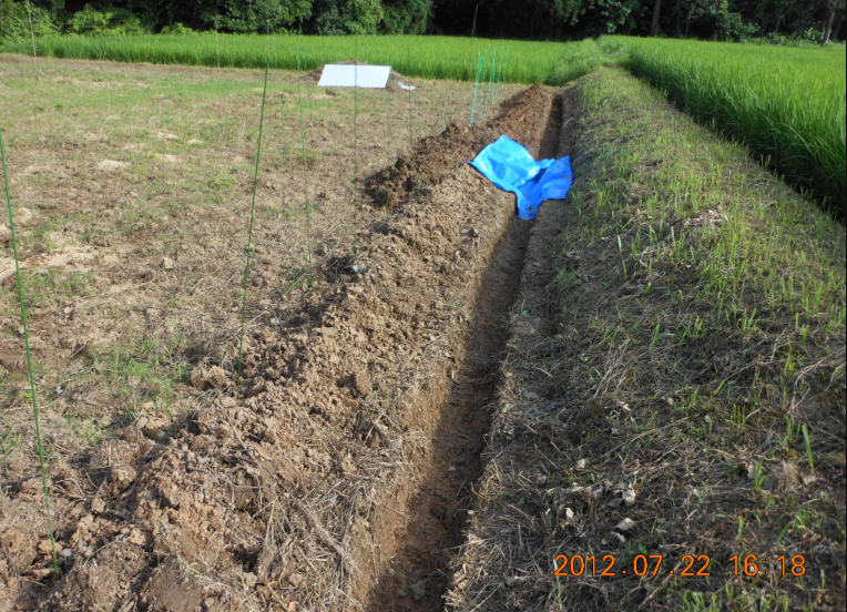３号圃場の溝切り 2012-07-22