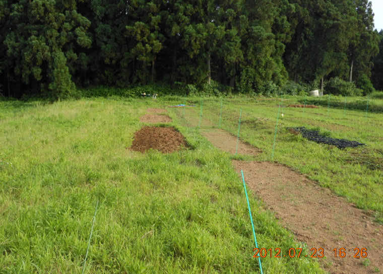 ２号圃場の草刈り 2012-07-23