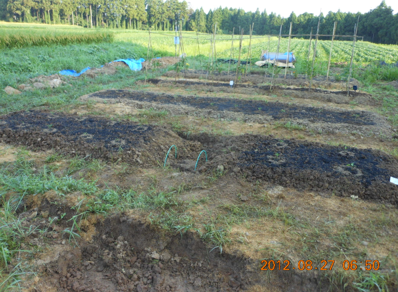 鶏ふんボカシを散布 2012-08-27