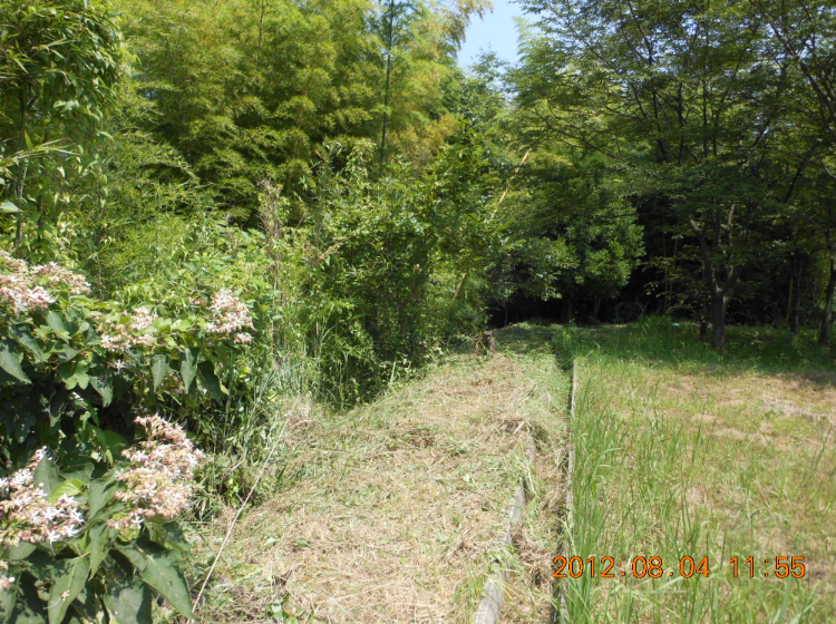 穴水２号ほ場の草刈り 2012-08-04