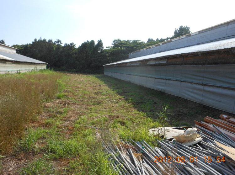 ボカシ肥料製作所の草刈り 2012-08-01