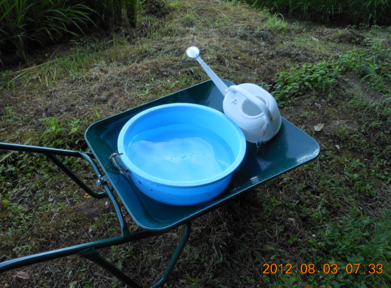 寒冷紗をかけた効果は 2012-08-03