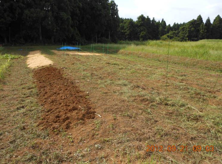 2号圃場の設計変更中 2012-09-21