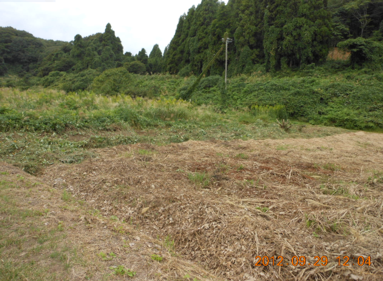 穴水５号ほ場の草刈り 2012-09-29