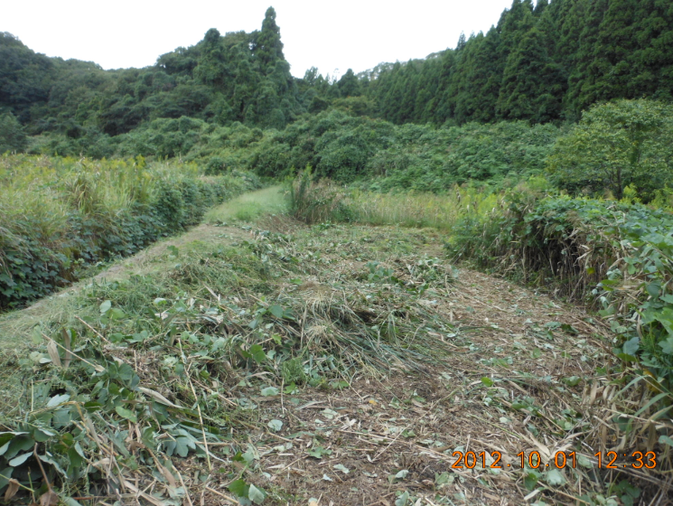 台風一過 2012-10-01
