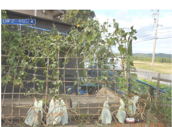 間違い探しです 2012-10-03