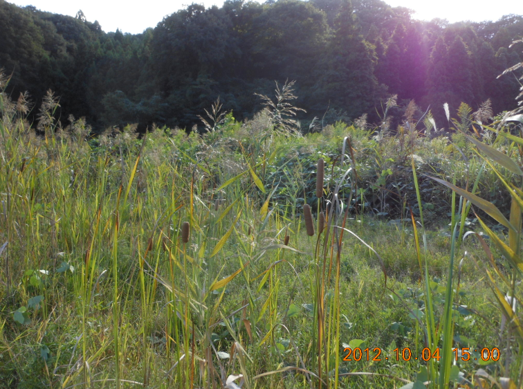 あと少し 2012-10-04