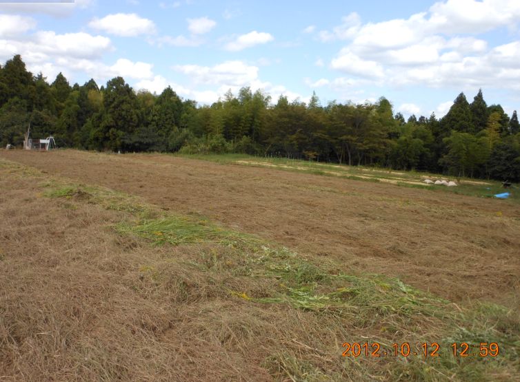 新規にほ場を借りました-2012-10-12