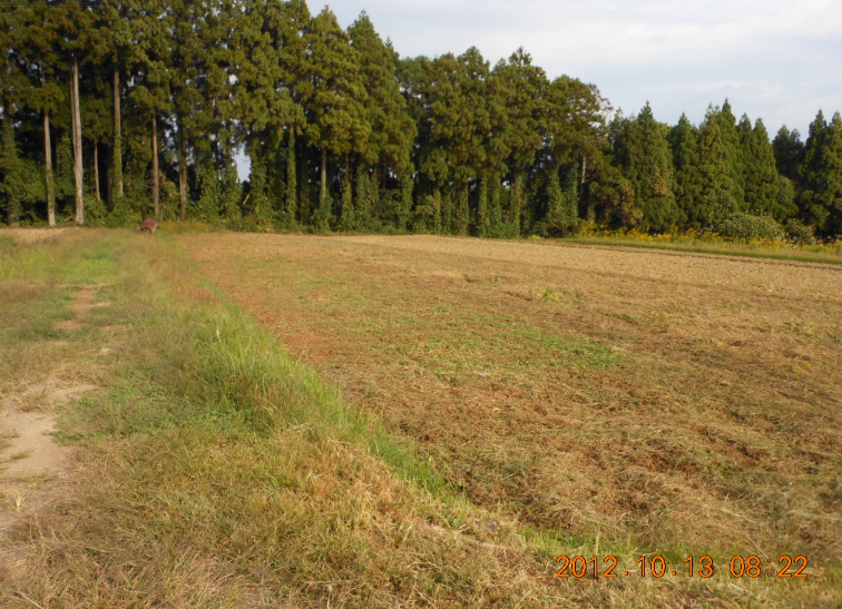 フェイスガードの修理と来年から借りる予定の区画の草刈り 2012-10-15