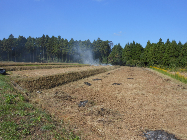 来年から借りる区画の草集めと野焼き 2012-10-16