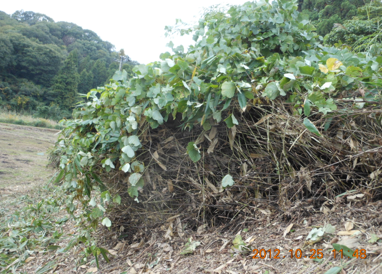 穴水5号ほ場の草刈りで首が・・・・痛い(T_T) 2012-10-25