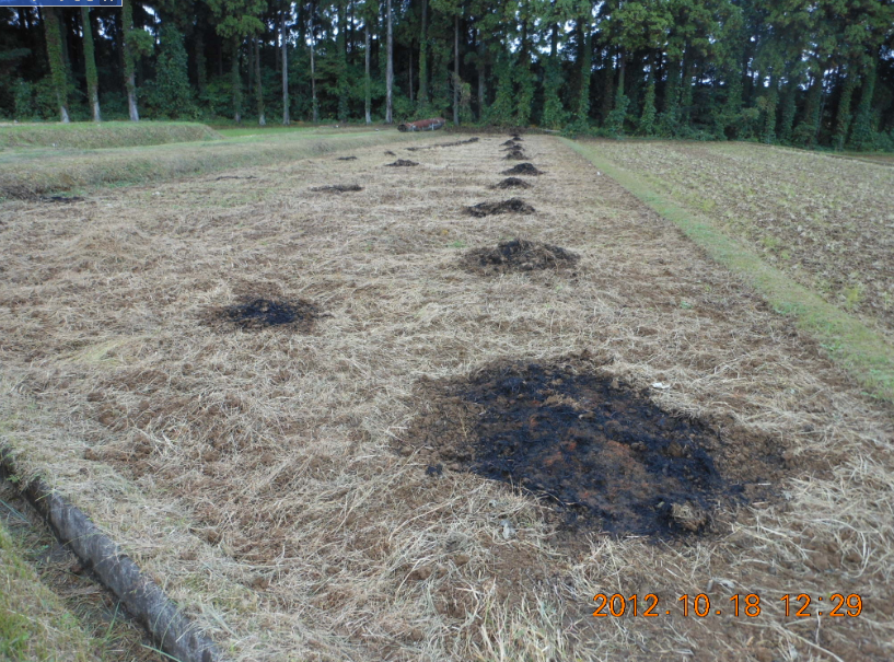 晴れて風のない日は野焼き 2012-10-18