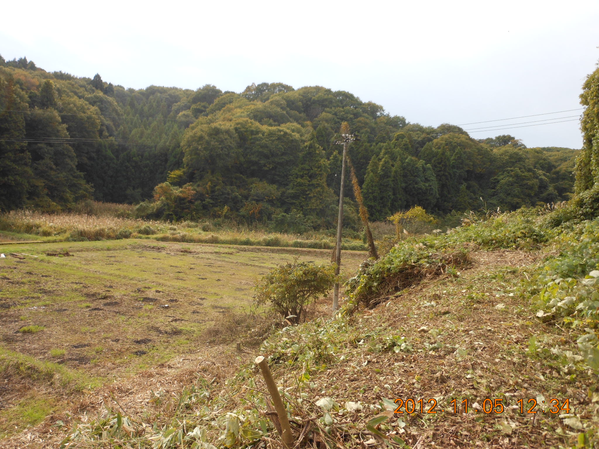 ５号ほ場の草刈り再開 2012-11-05