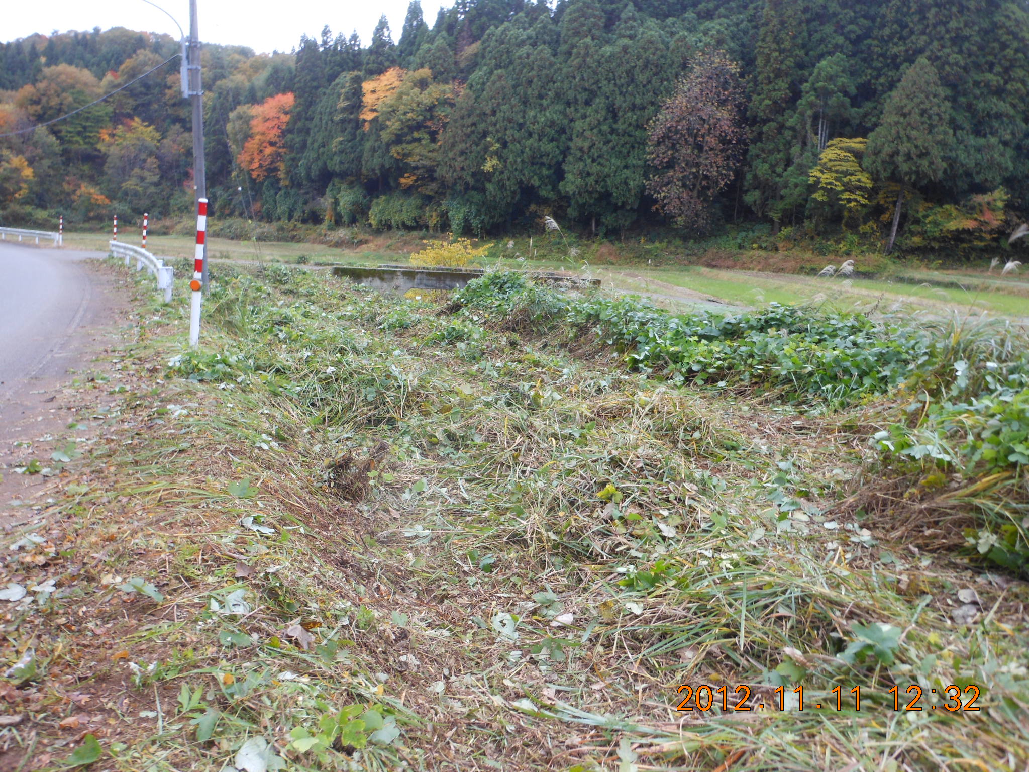 1号ほ場の川の向こう岸の草刈り 2012-11-11
