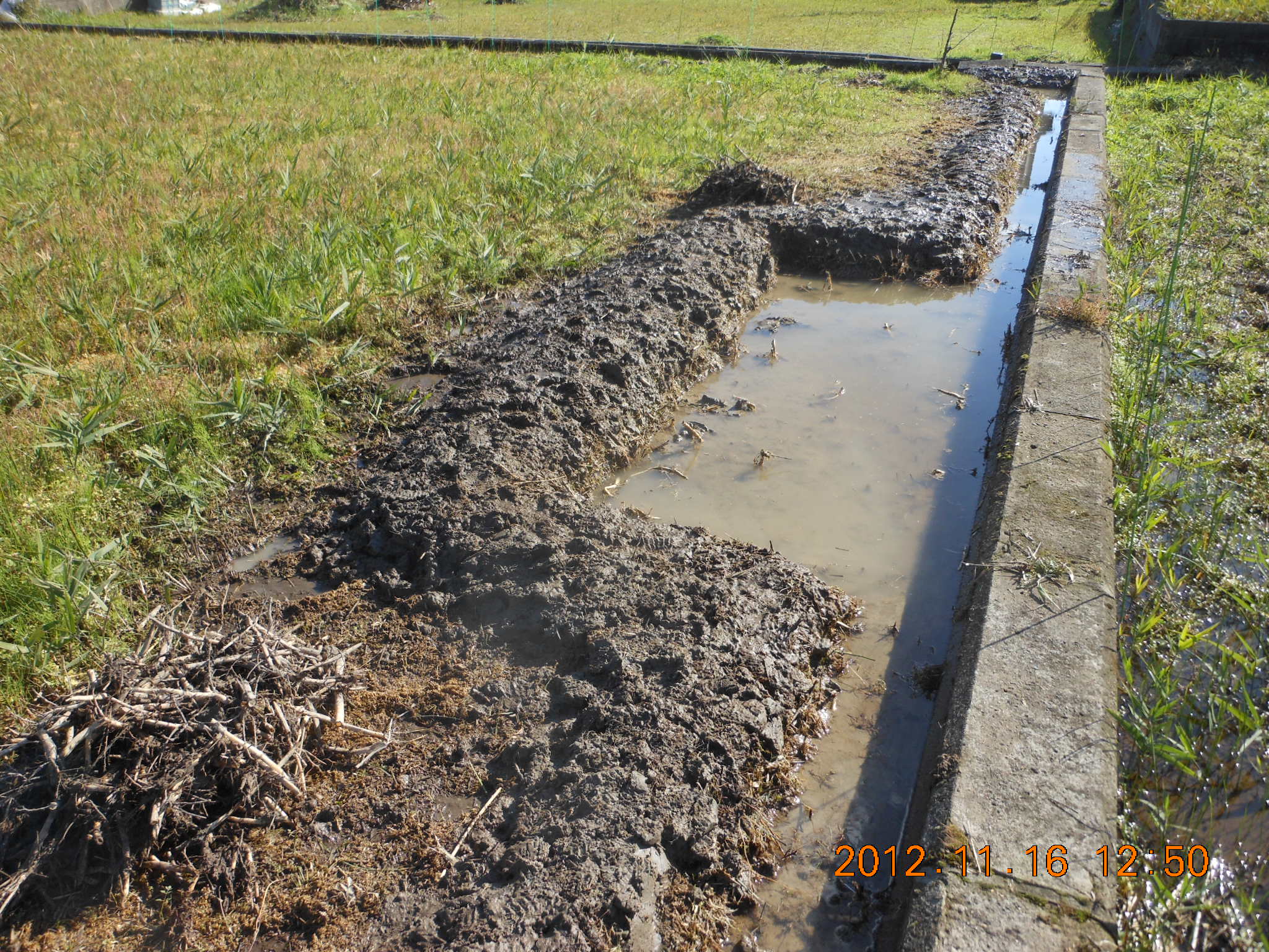 ６号圃場の排水対策（その２） 2012-11-16