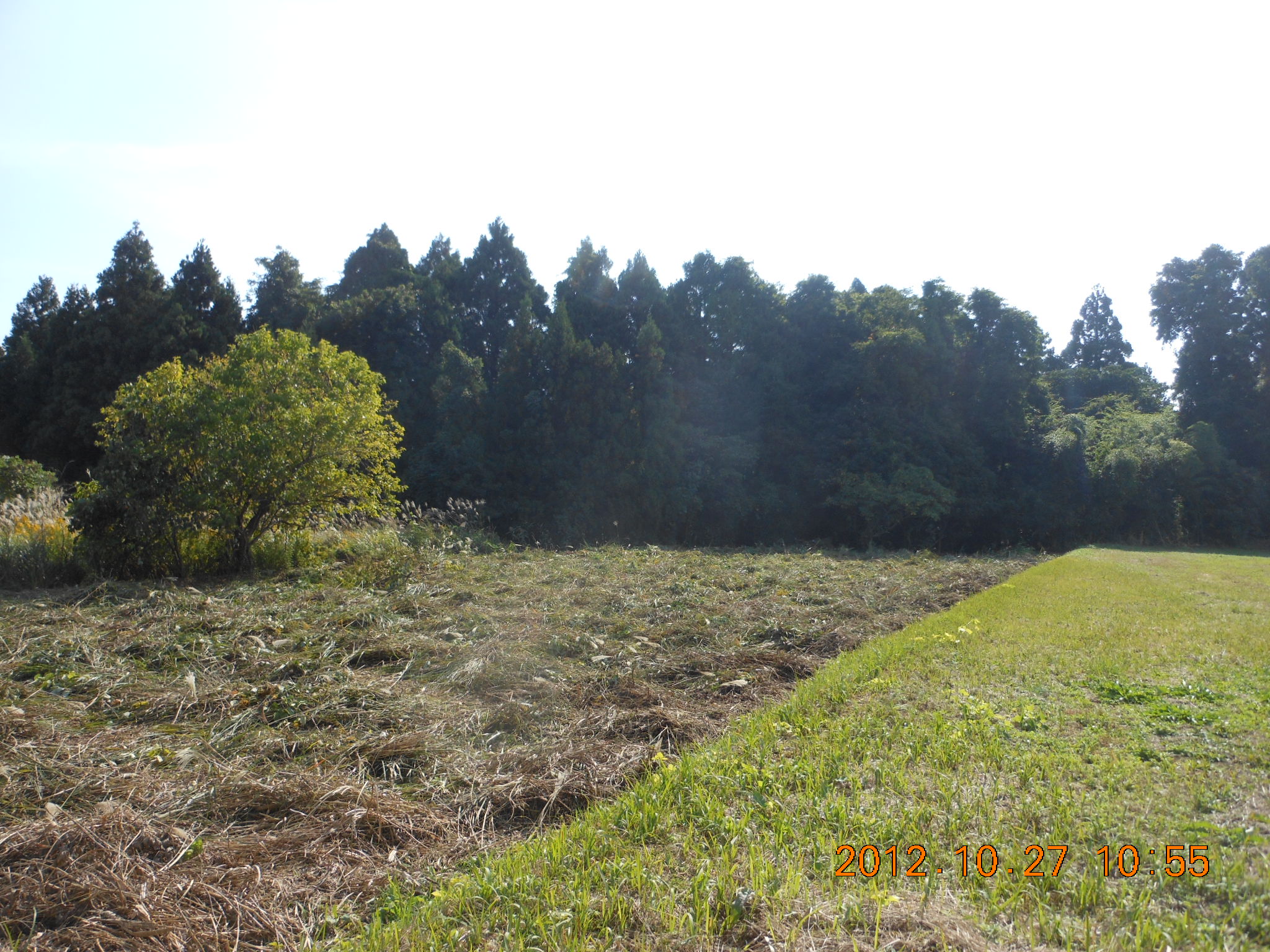 ４号ほ場で草刈り２日め 2012-10-27