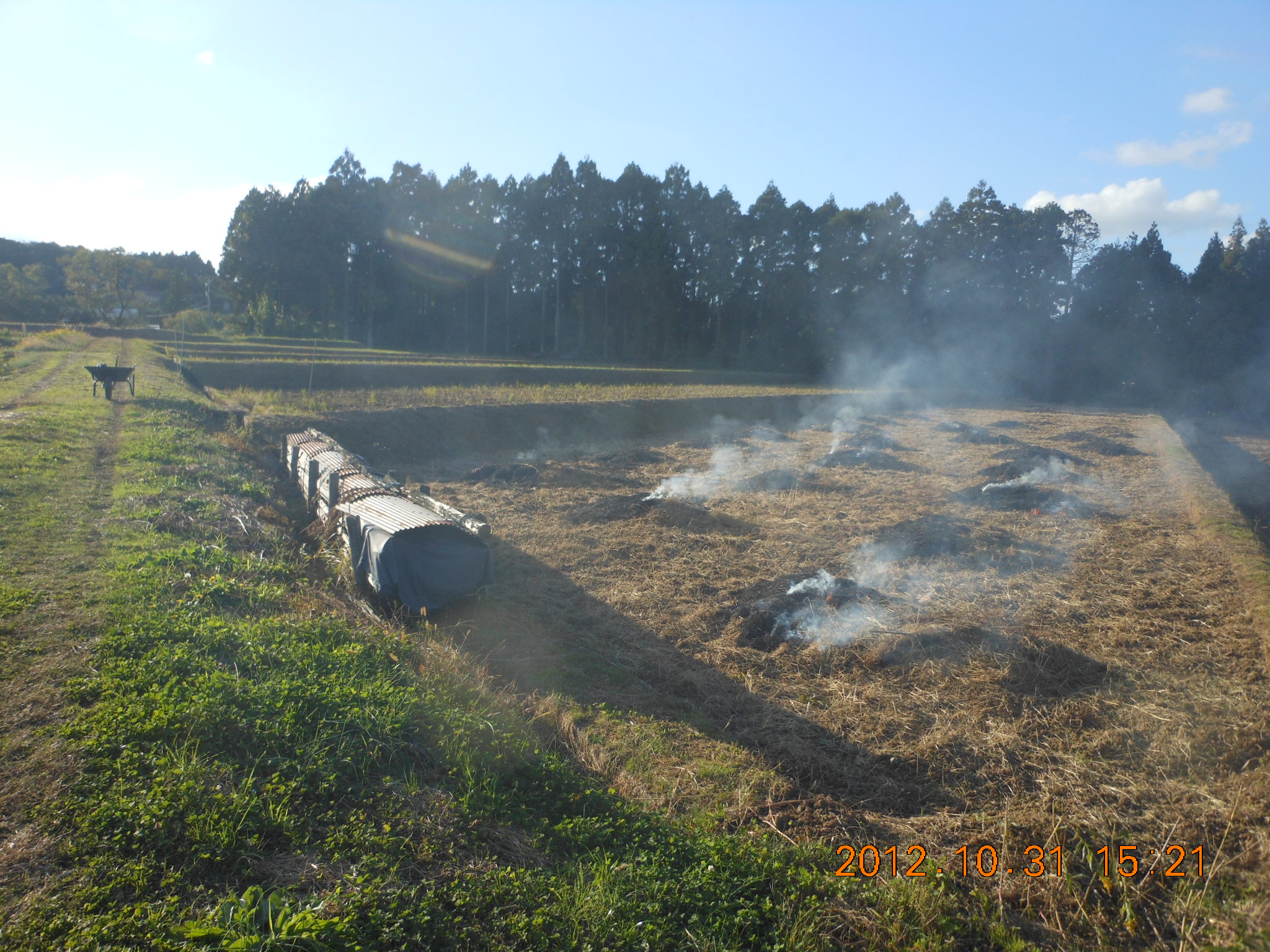 ４号と９号ほ場で雨の谷間に野焼き 2012-10-31
