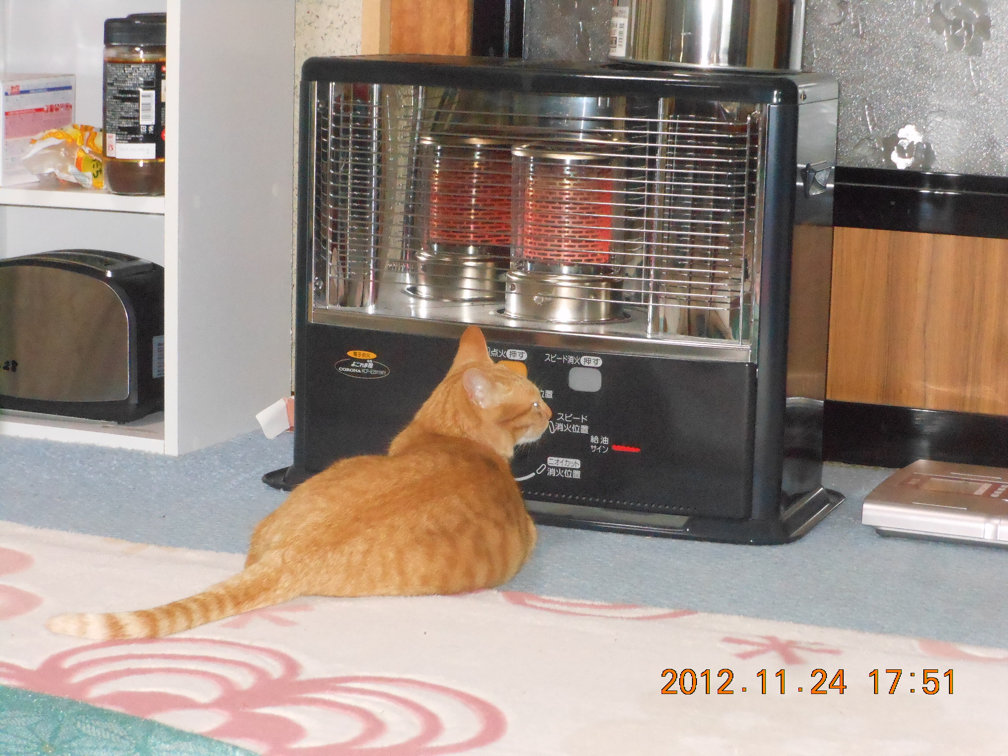 公民館でバザーがあったので 2012-11-25