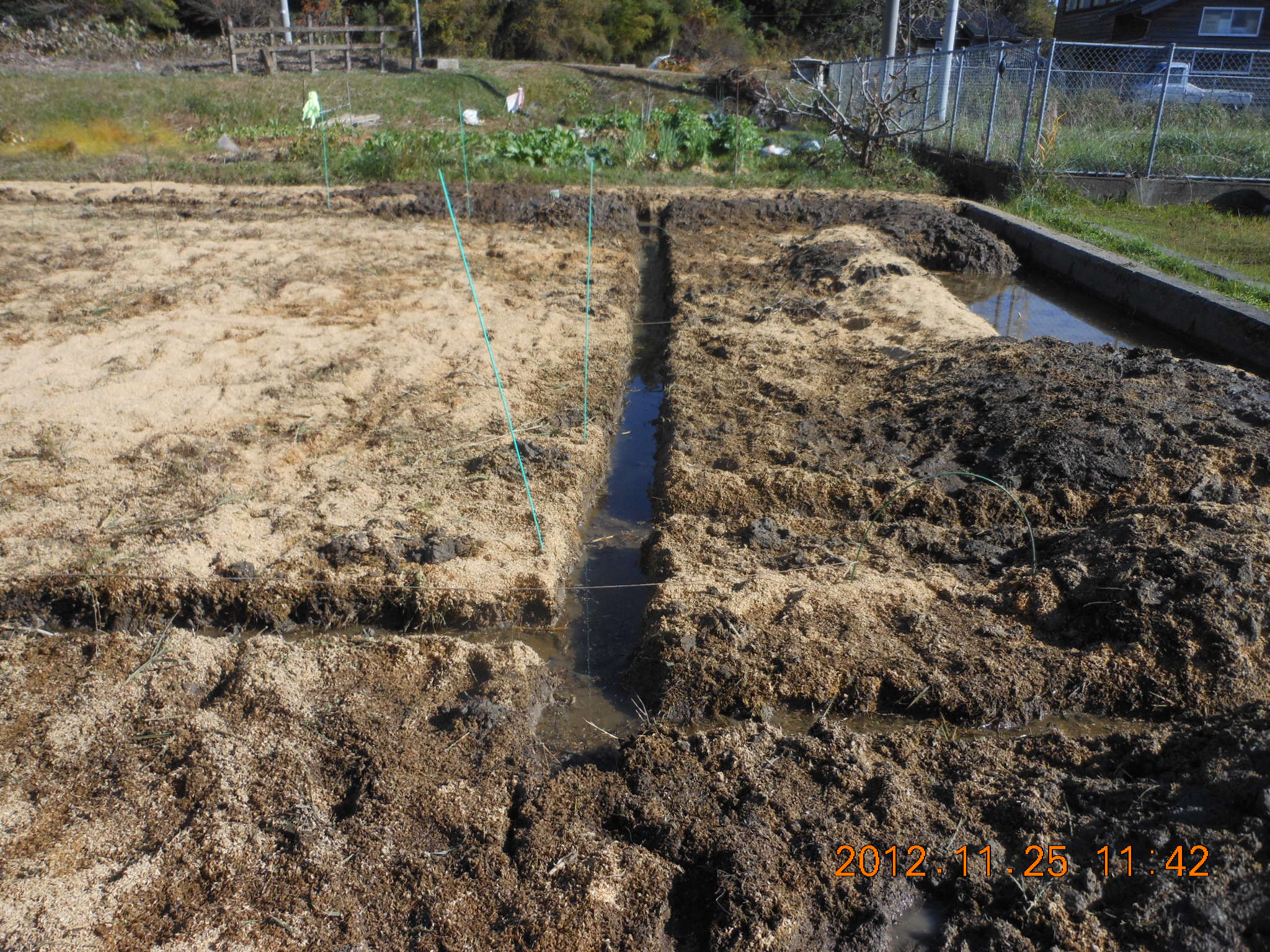 晴れ間が続かない 2012-11-26