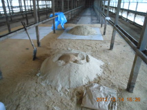 ぬるま湯でボカシ肥料 2012-12-14