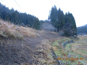 雪のないうちに草刈り 2012-12-18