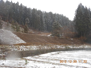 草刈りをしたら 2012-12-20