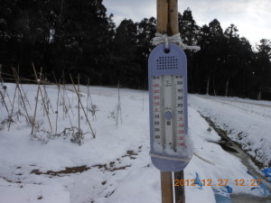 最低気温 2012-12-28