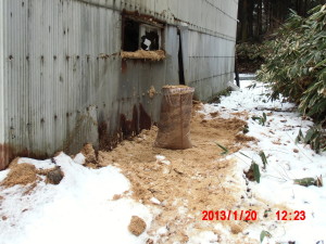 踏み込み温床作り（完成） 2013-01-19