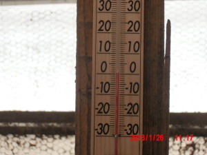 踏み込み温床の途中経過 2013-01-26