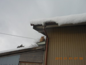 謹賀新年 2013-01-01